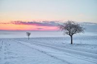 Winter in der Agrarlandschaft