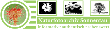 Logo Naturfotoarchiv
